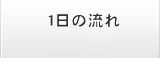 1日の流れ